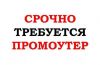 Требуется промоутер