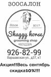Курсы груминга в зоосалоне Shaggy Horse