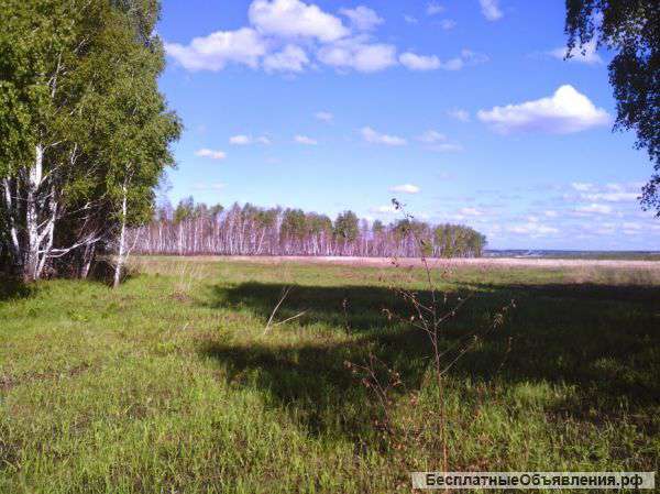 Продам земельный участок 1ГА СНТ ДНП