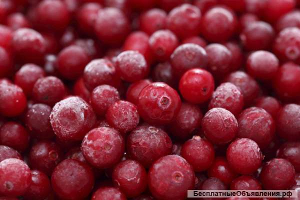 Калина свежемороженная