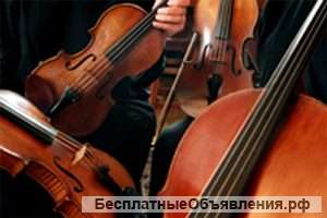 Cтрунный квартет