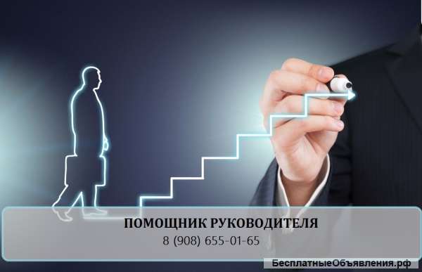 Помощник руководителя