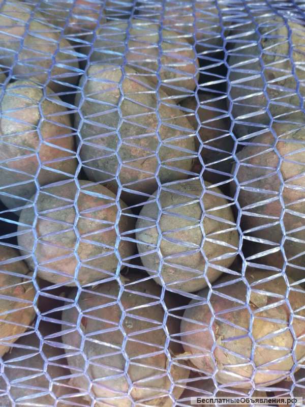 Картофель от