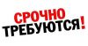 Продавец телефонных аксессуаров
