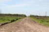 Участок 8 соток в новом коттеджном поселке