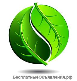 Химчистка ковров на дому