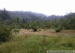 Земельный участок ЛПХ в Сочи на Мацесте