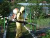Избавление от тараканов,клопов,мух,ОС,Дезинсекция насекомых Самара