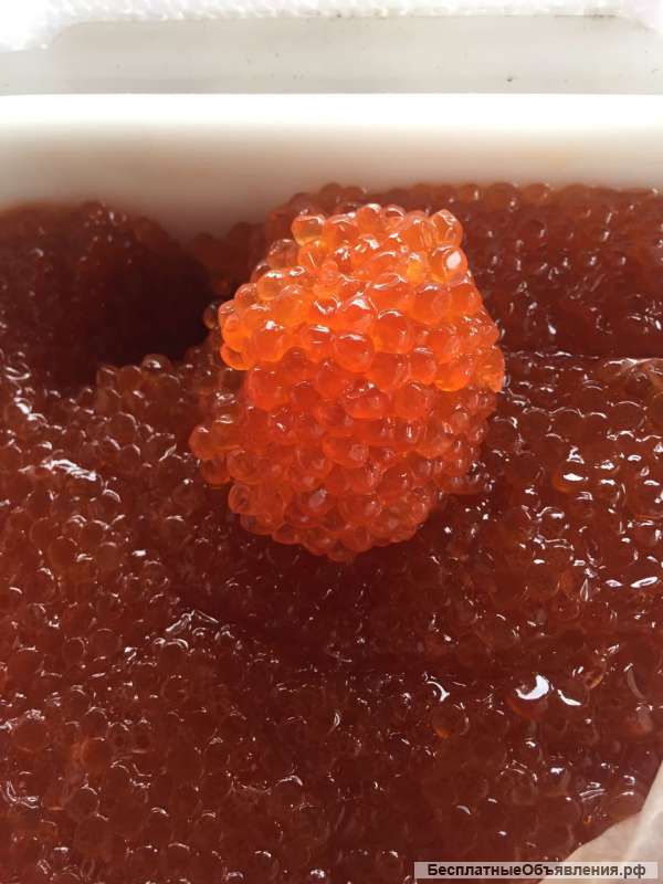Икра, морепродукты, форель охлажденная