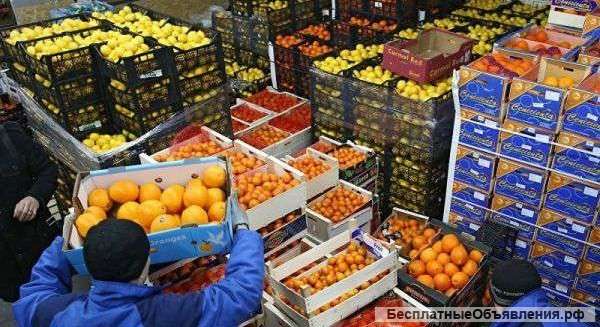 Примем менеджера продаж (фрукты)