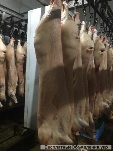 Свинина, беконная в ассортименте