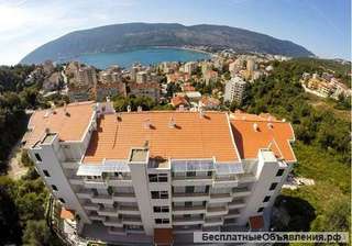 Квартира общей площадью 44 кв.м., Херцег-Нови, Черногория