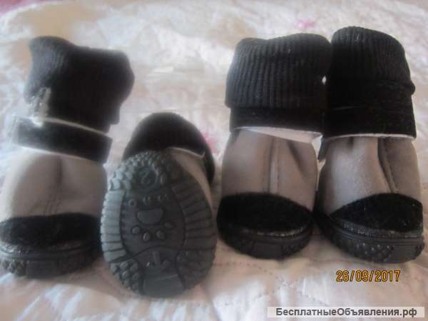 Сапоги для собаки продам