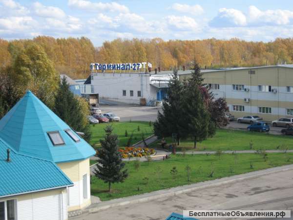 Овощехранилище в аренду