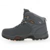 Ecco Biom