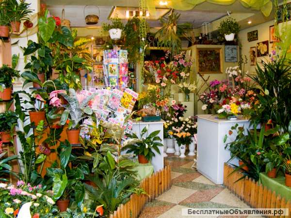 Салон цветов с гарантированной прибылью