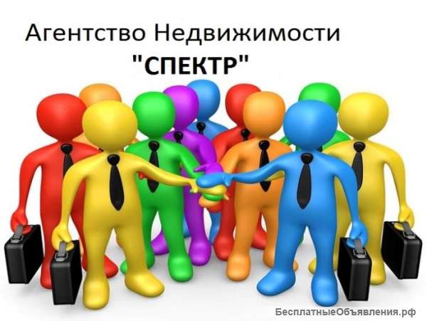 Риэлтор-Стажер