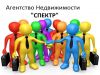 Риэлтор-Стажер