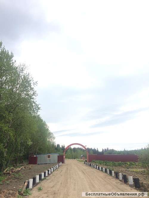 ДП "Тюльпаново"