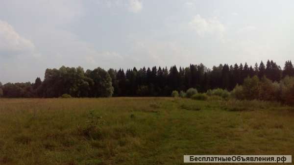 ДП Прибрежный 3
