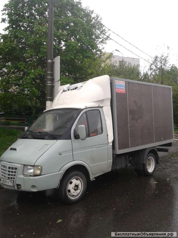 Газель