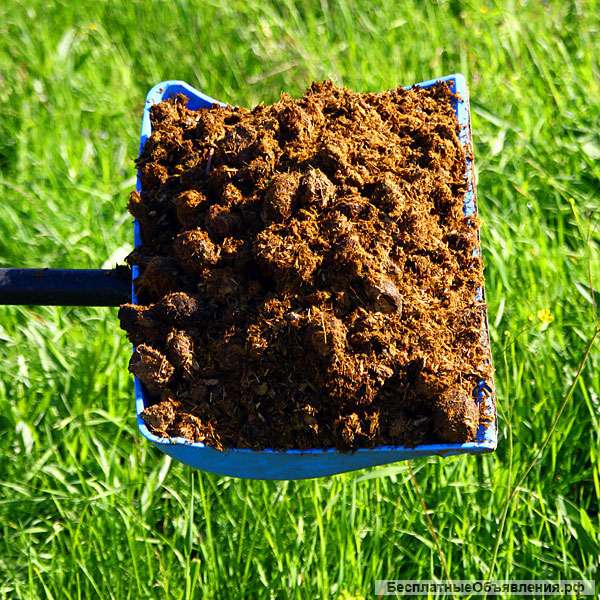 Удобрение, Конский навоз, Перегной