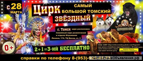Билет На Цирковое Талантливое Шоу Самый Большой Томский Цирк Звёздный