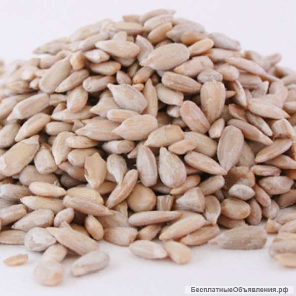 Ядро подсолнечника