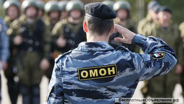Работа в Росгвардии