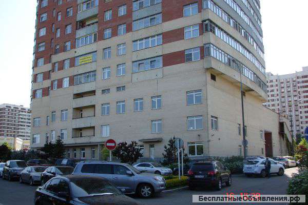 Детскому клубу требуются преподаватели