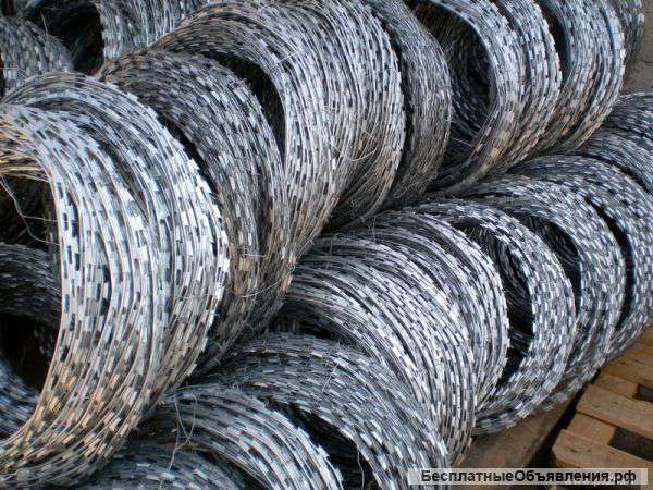 Егоза, СББ, колючая проволока