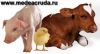 ООО Медея оптовая продажа зерна и кормов