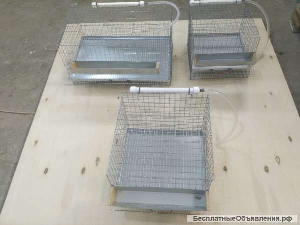 Клетки для перепелов