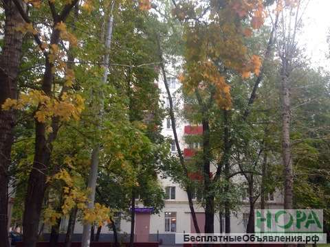 Квартиры м.Щелковская