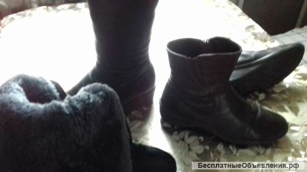 Зимние сапоги и ботинки