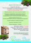 Укрепляем иммунитет