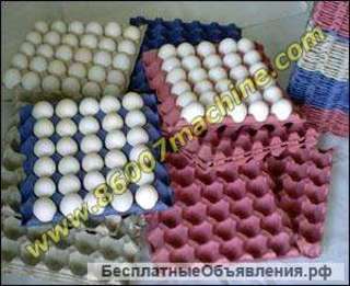 Яичные лотки. Линии производства.