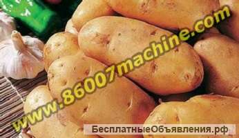Оборудование для мойки и сушки картофеля