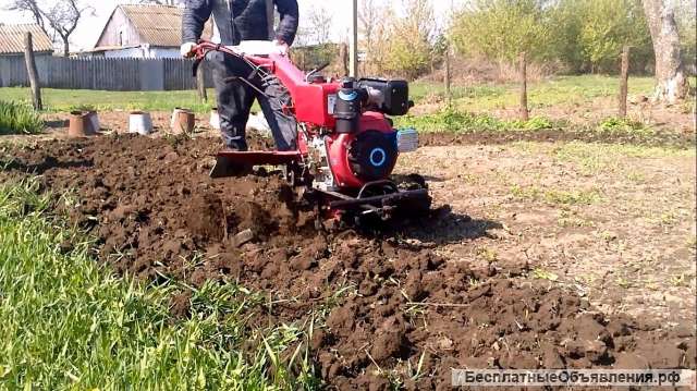 Вспашка земли мотоблоком покос травы уничтожение борщевика в Калининграде