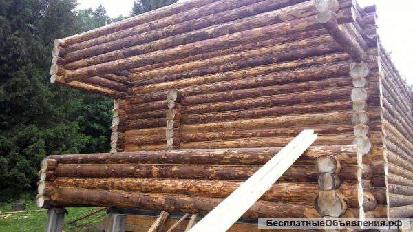 Срубы из качественного зимнего леса