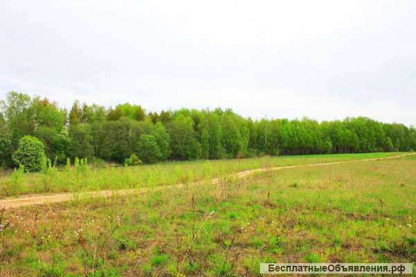 Дачный поселок Рыбацкая Деревня распродает участки