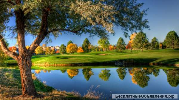 Организация ведет набор работников