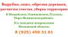 Спил деревьев, вырубка деревьев, обрезка деревьев, расчистка участка