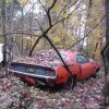 Требуются менеджеры по закупкам