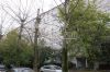 3-комн. квартира г. Москва, улица Медиков, 27к3