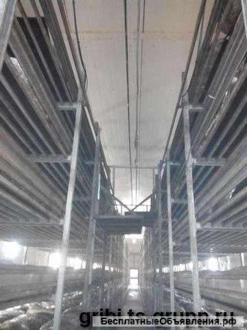 Системы увлажнения для грибов