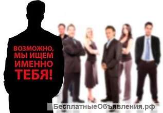 Менеджер по продаже автозапчастей