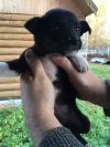 Маленькие малявочки ищут дом