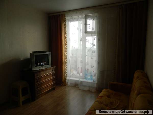 Сдам студию лично