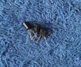 Транзисторы 2N (PN MPS ED GES) редкие (Список 2N2) оригинальные ДЕМОНТАЖ